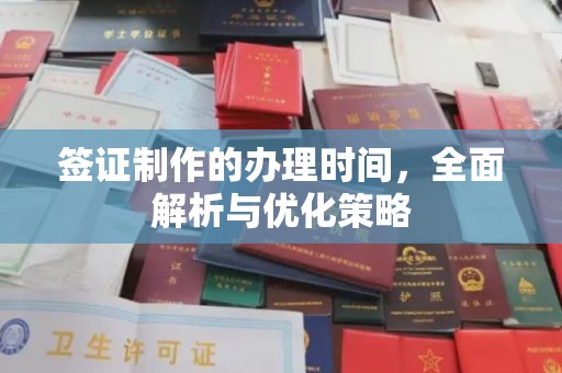 肇州签证制作的办理时间，全面解析与优化策略