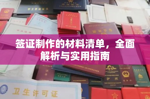 肇州签证制作的材料清单，全面解析与实用指南